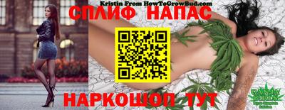 ALPHA PVP Кунгур