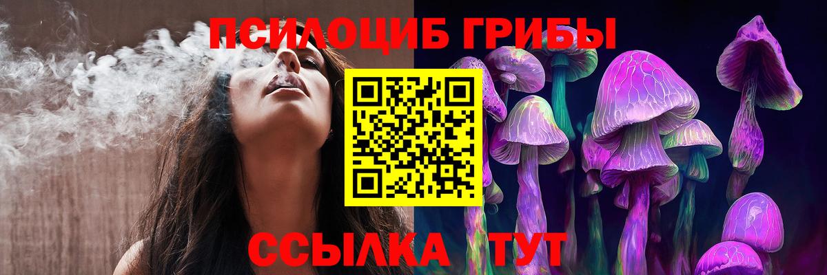 Галлюциногенные грибы Psilocybe Трёхгорный